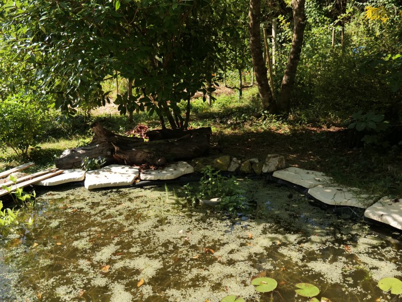 Installation d'une mare pour soutenir une biodiversité variée. LISE JALOUX